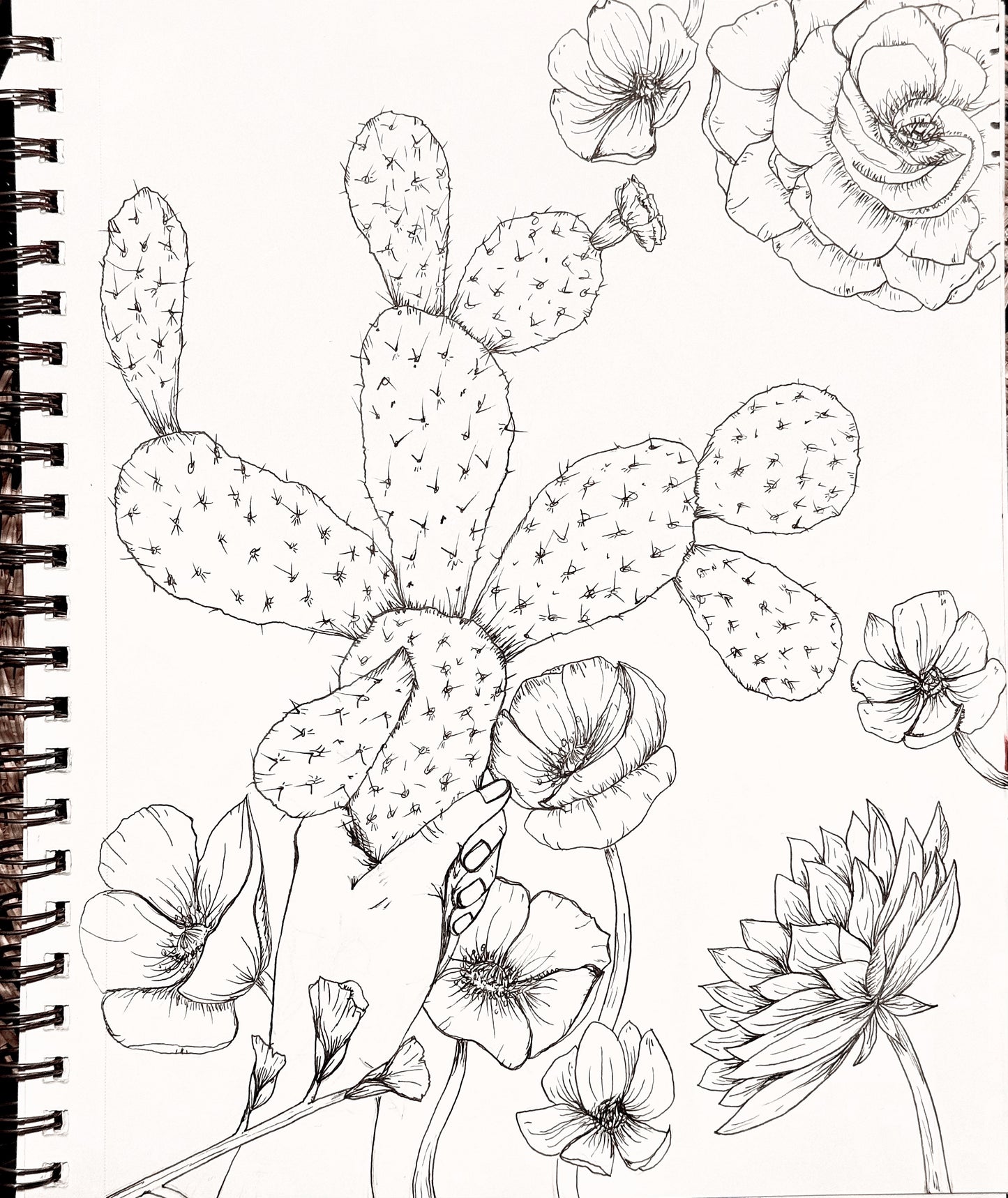 Nopal with Sweet Pea Sticker