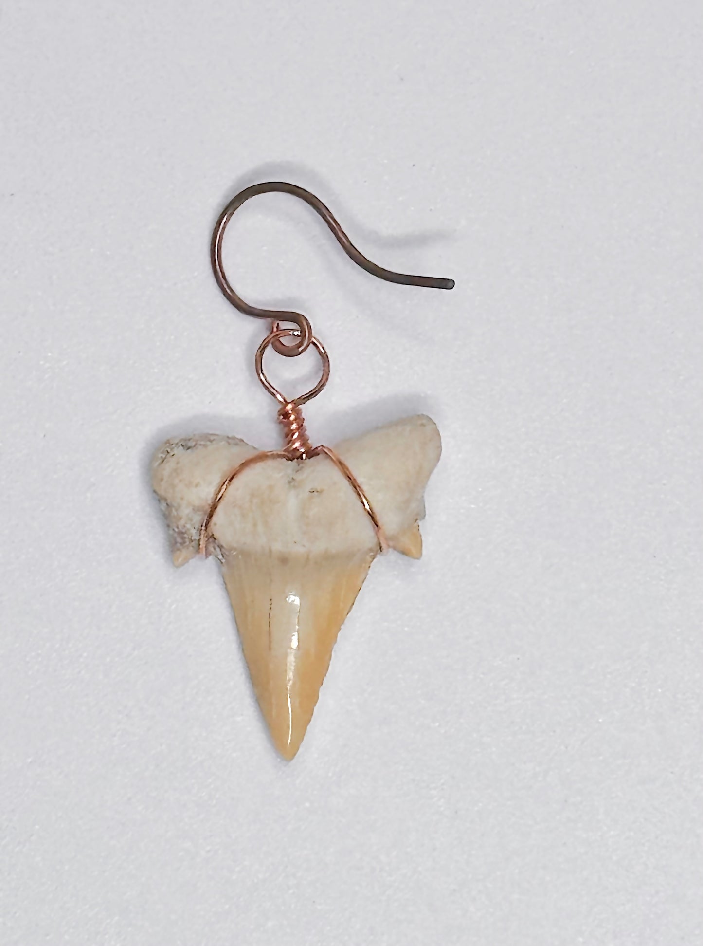 Single Shark Tooth Earring